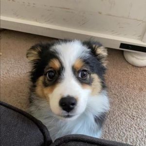 Meet your Posher, Ashlee